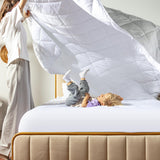 comforter gallery images 2024 square lifestyle 2