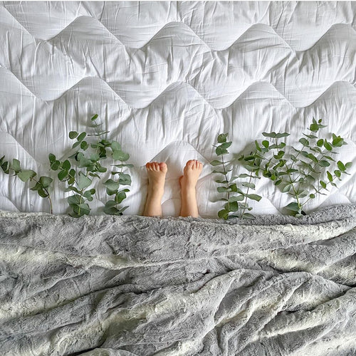The Best Plants for Your Bedroom
