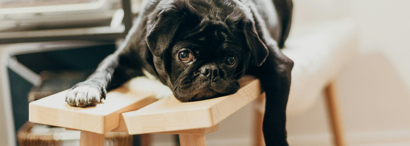 The Ultimate Guide to Surviving Uncomfortable Beds: How to Sleep Like a Boss