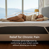 shd square gallery images 2025 2